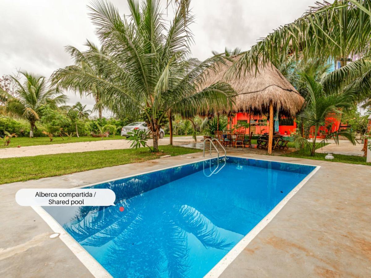 Hostpal Experiencia En El Manglar Apartment Chelem Ngoại thất bức ảnh